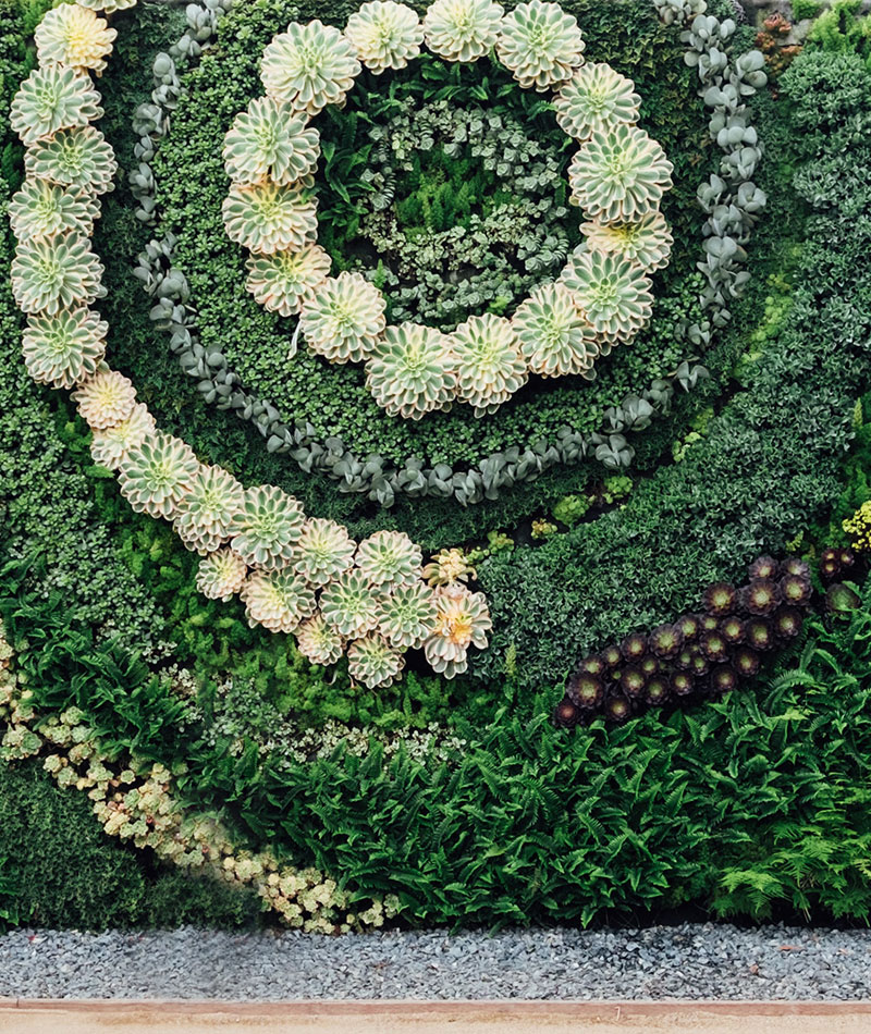 vertical-garden-chennai